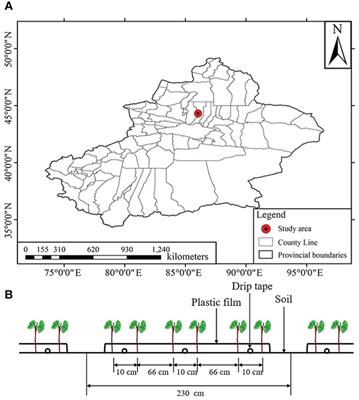 Improving the accuracy of cotton seedling emergence rate estimation by fusing UAV-based multispectral vegetation indices